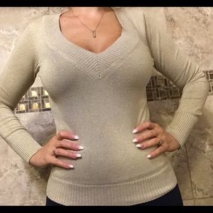 Express Sparkling Champagne Colored V-Neck Sweater